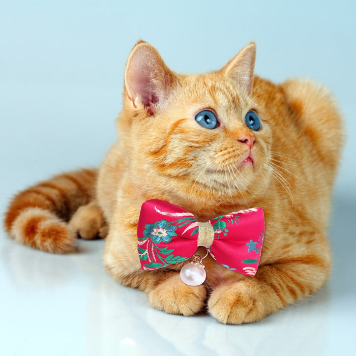 Fashionable Cat Collar Bowtie